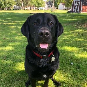 Meet your Posher, Mack